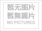 国家能源局监管总监黄学农：推动绿色能源和新能源汽车产业协同发展